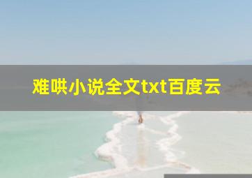 难哄小说全文txt百度云