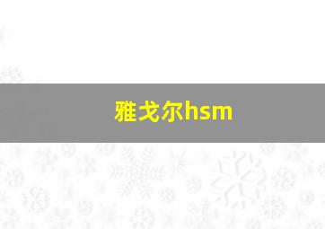 雅戈尔hsm