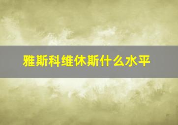 雅斯科维休斯什么水平