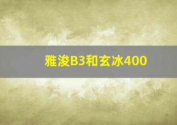 雅浚B3和玄冰400