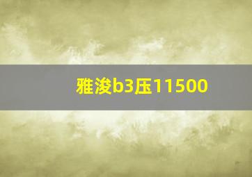 雅浚b3压11500