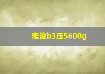 雅浚b3压5600g