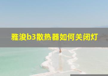 雅浚b3散热器如何关闭灯