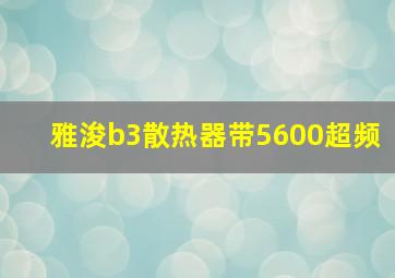 雅浚b3散热器带5600超频