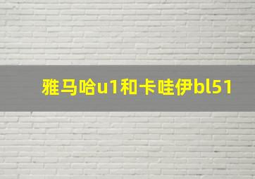 雅马哈u1和卡哇伊bl51