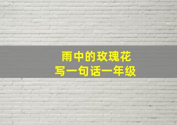 雨中的玫瑰花写一句话一年级