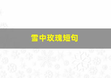 雪中玫瑰短句