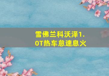 雪佛兰科沃泽1.0T热车怠速息火