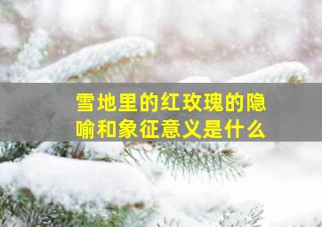 雪地里的红玫瑰的隐喻和象征意义是什么