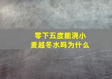 零下五度能浇小麦越冬水吗为什么