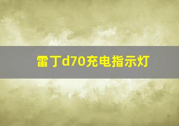 雷丁d70充电指示灯