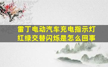 雷丁电动汽车充电指示灯红绿交替闪烁是怎么回事