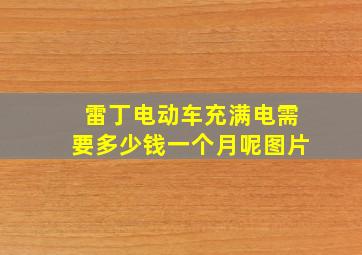 雷丁电动车充满电需要多少钱一个月呢图片