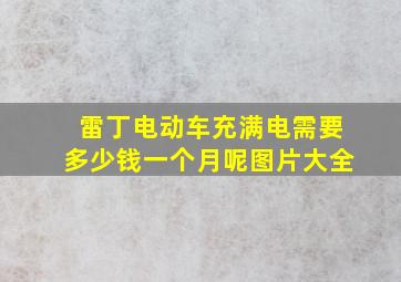 雷丁电动车充满电需要多少钱一个月呢图片大全