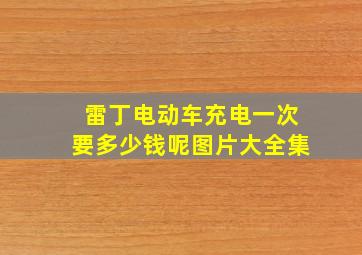 雷丁电动车充电一次要多少钱呢图片大全集