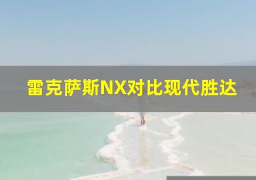 雷克萨斯NX对比现代胜达