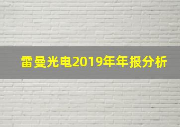 雷曼光电2019年年报分析