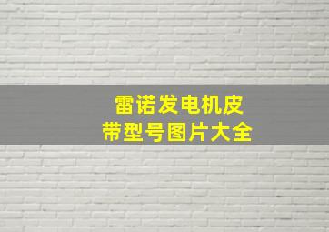 雷诺发电机皮带型号图片大全