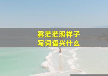 雾茫茫照样子写词语兴什么