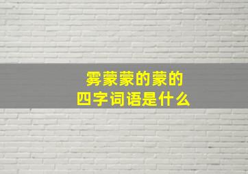 雾蒙蒙的蒙的四字词语是什么