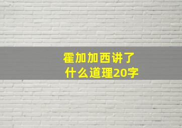 霍加加西讲了什么道理20字