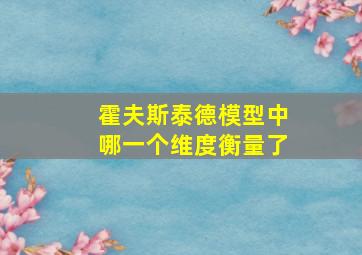 霍夫斯泰德模型中哪一个维度衡量了