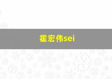 霍宏伟sei