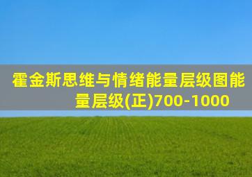 霍金斯思维与情绪能量层级图能量层级(正)700-1000