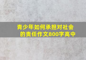 青少年如何承担对社会的责任作文800字高中