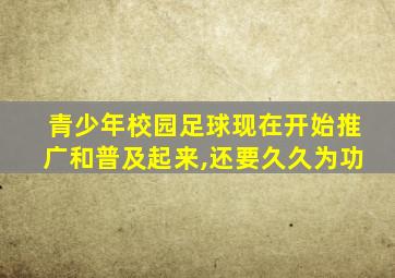 青少年校园足球现在开始推广和普及起来,还要久久为功