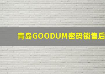 青岛GOODUM密码锁售后