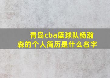 青岛cba篮球队杨瀚森的个人简历是什么名字