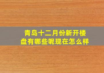 青岛十二月份新开楼盘有哪些呢现在怎么样