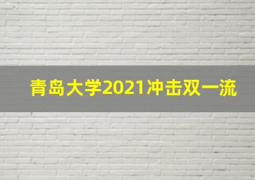 青岛大学2021冲击双一流