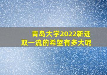 青岛大学2022新进双一流的希望有多大呢