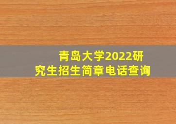 青岛大学2022研究生招生简章电话查询