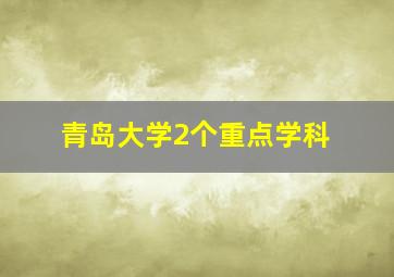 青岛大学2个重点学科