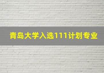 青岛大学入选111计划专业