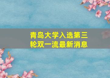 青岛大学入选第三轮双一流最新消息