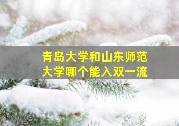 青岛大学和山东师范大学哪个能入双一流