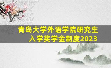 青岛大学外语学院研究生入学奖学金制度2023