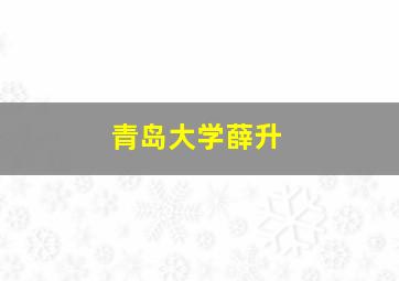 青岛大学薛升