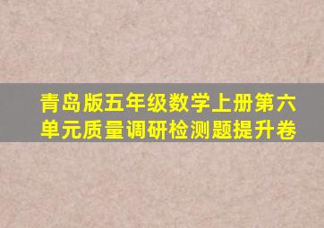 青岛版五年级数学上册第六单元质量调研检测题提升卷