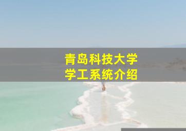 青岛科技大学学工系统介绍