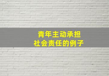 青年主动承担社会责任的例子