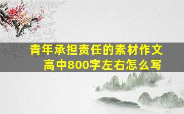 青年承担责任的素材作文高中800字左右怎么写