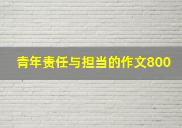 青年责任与担当的作文800