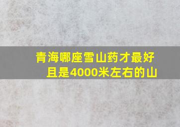 青海哪座雪山药才最好且是4000米左右的山