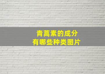 青蒿素的成分有哪些种类图片