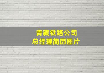 青藏铁路公司总经理简历图片